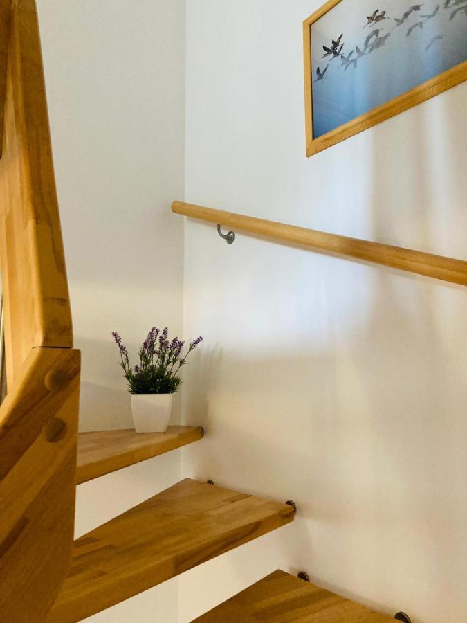 Villa Doppelhaushaelfte Birkenstrasse 5E Zingst Esterno foto